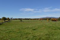 Mt. Monadnock - Witt Hill Rd - Farm and Mountain - Far - Fall